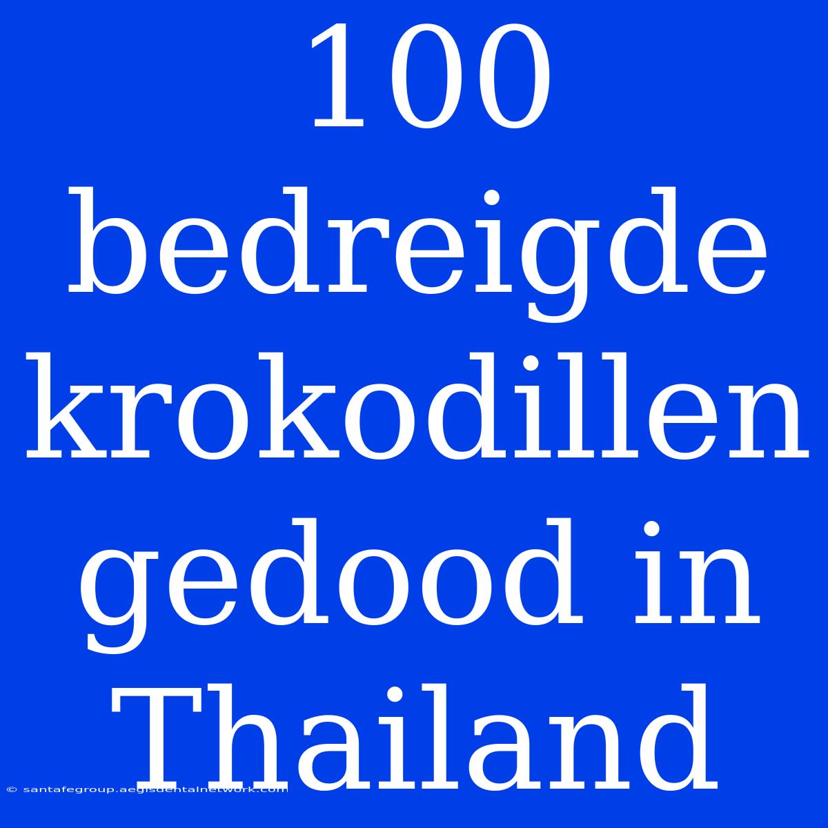 100 Bedreigde Krokodillen Gedood In Thailand