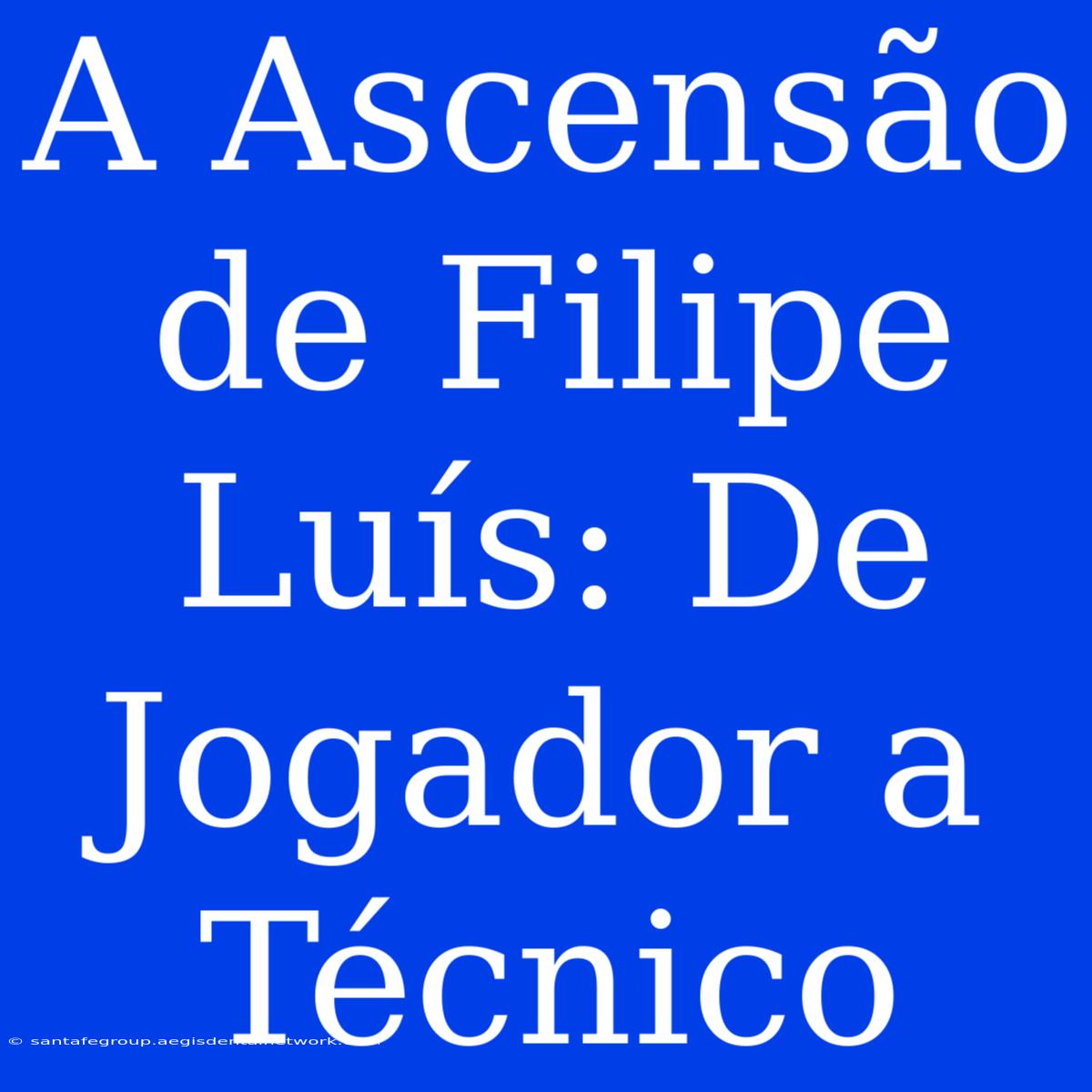 A Ascensão De Filipe Luís: De Jogador A Técnico