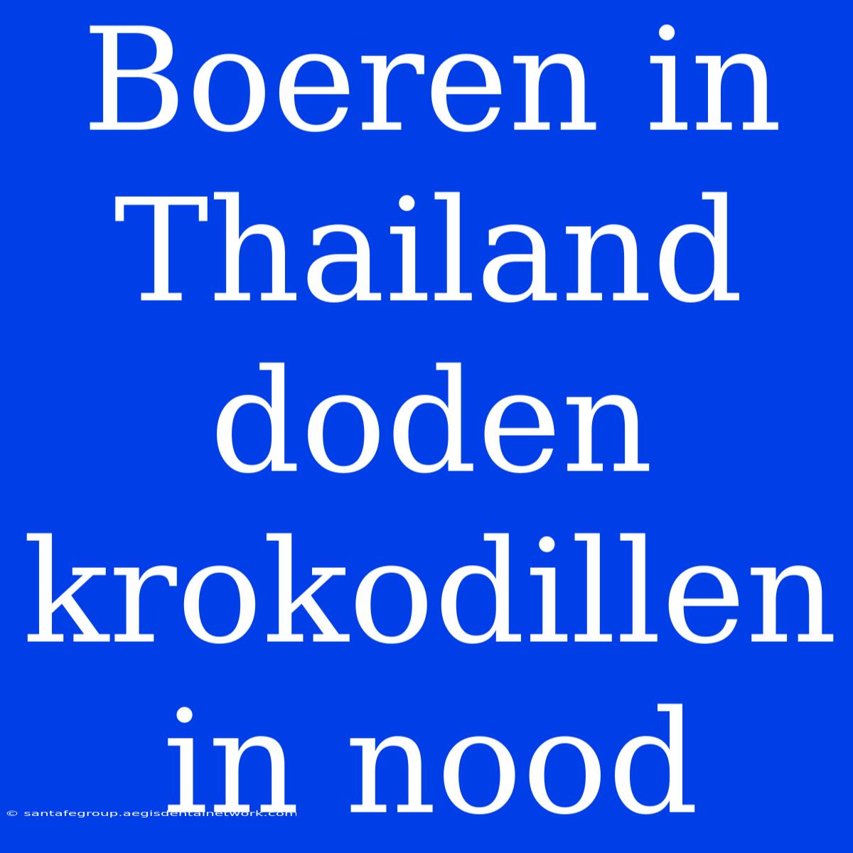 Boeren In Thailand Doden Krokodillen In Nood