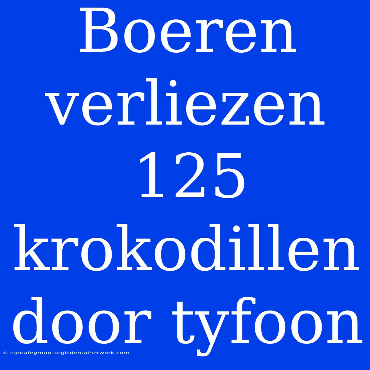 Boeren Verliezen 125 Krokodillen Door Tyfoon