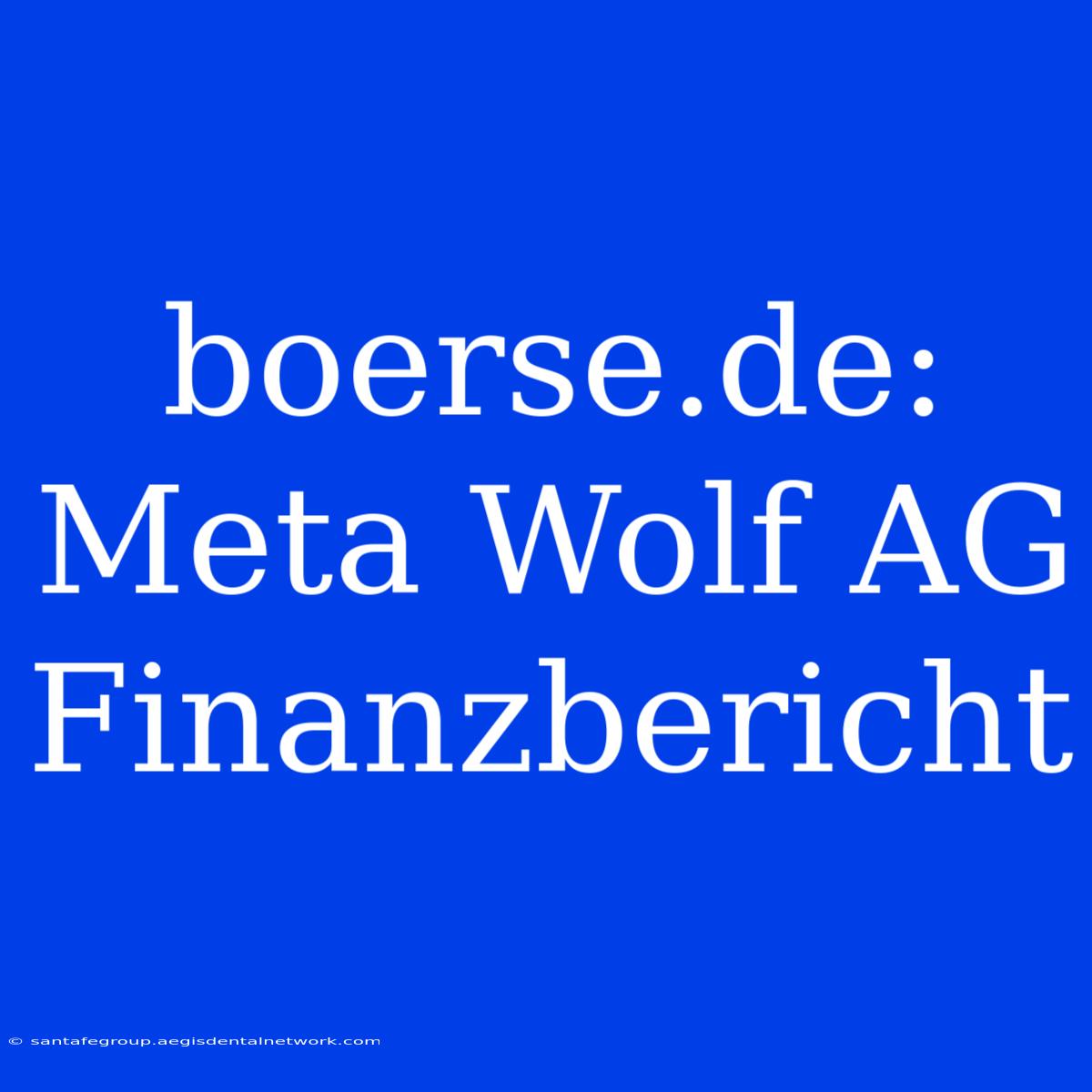 Boerse.de: Meta Wolf AG Finanzbericht