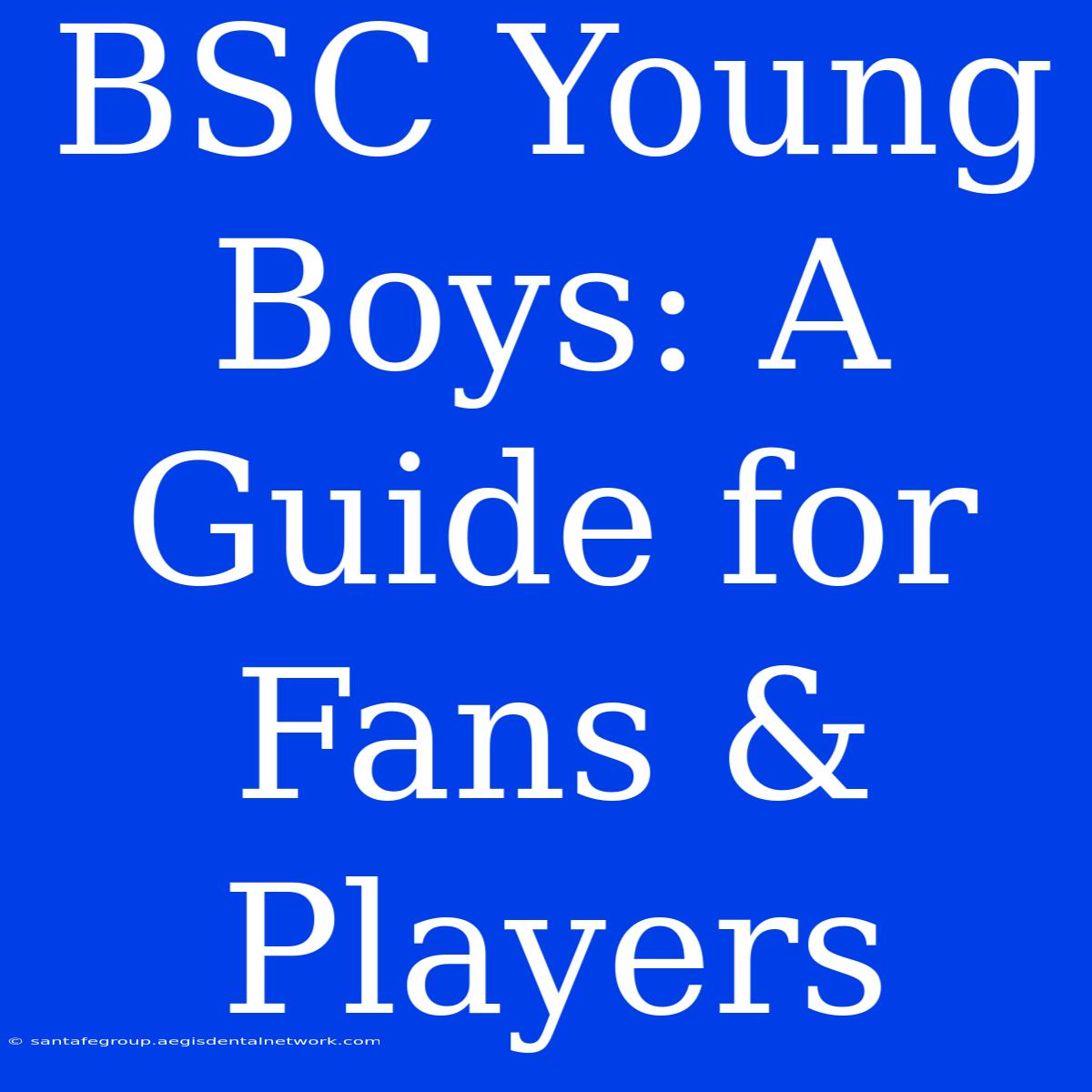 BSC Young Boys: A Guide For Fans & Players 