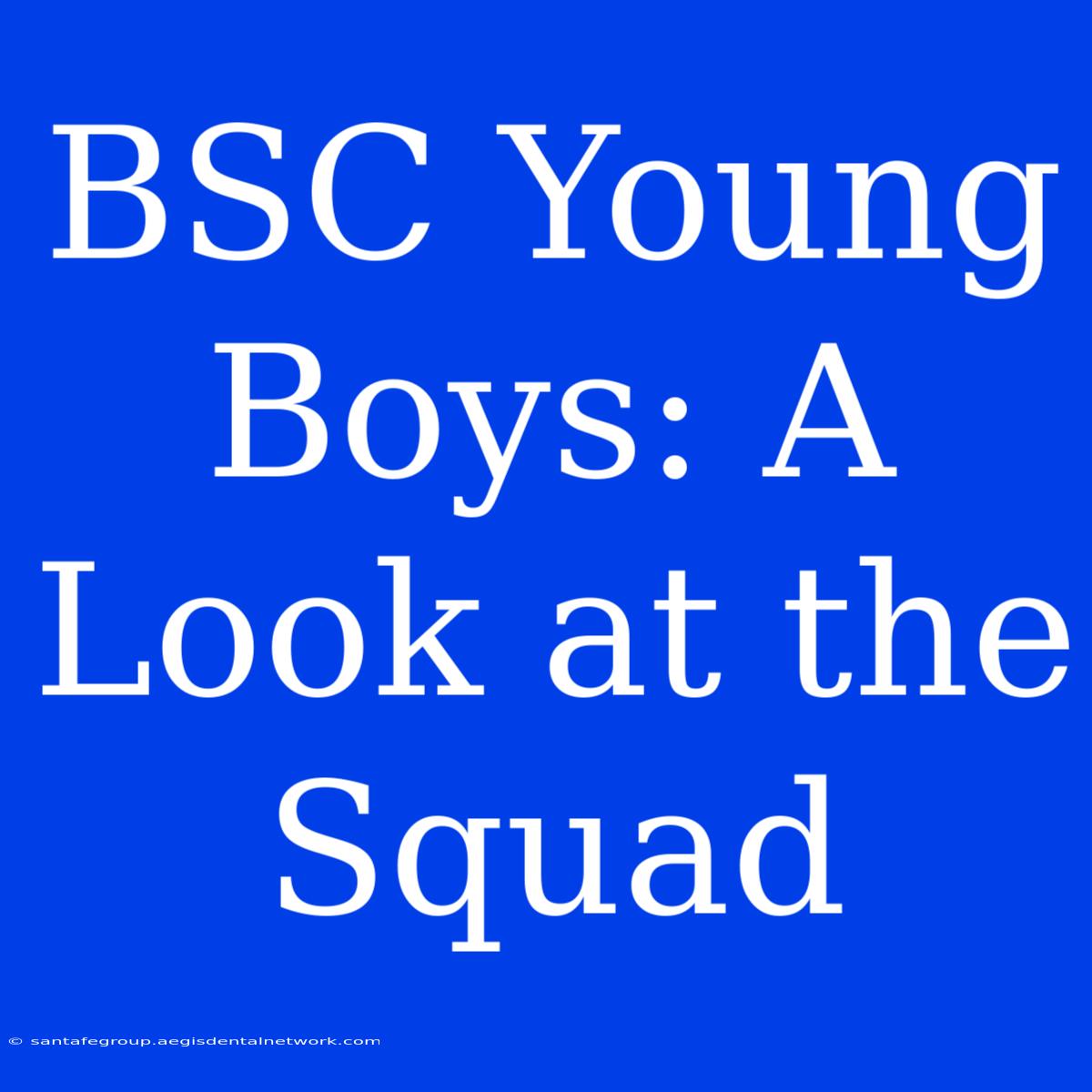 BSC Young Boys: A Look At The Squad