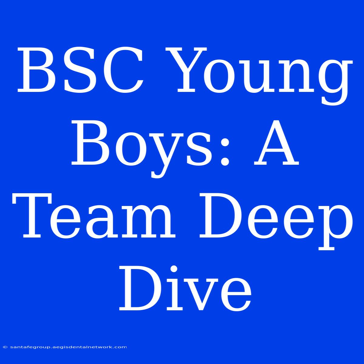 BSC Young Boys: A Team Deep Dive