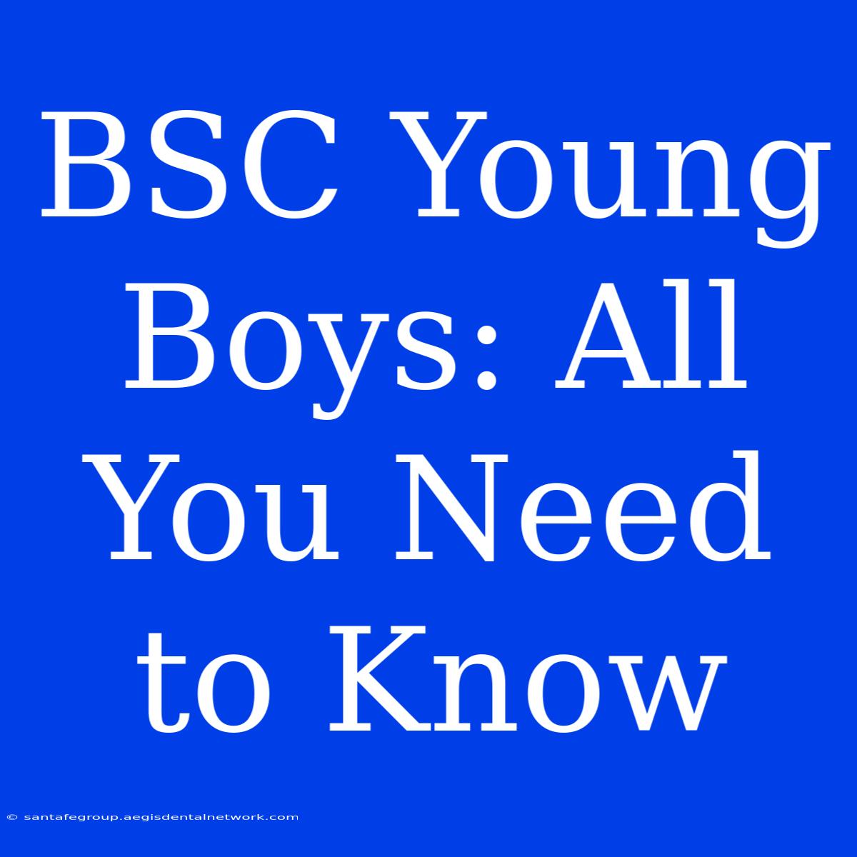 BSC Young Boys: All You Need To Know