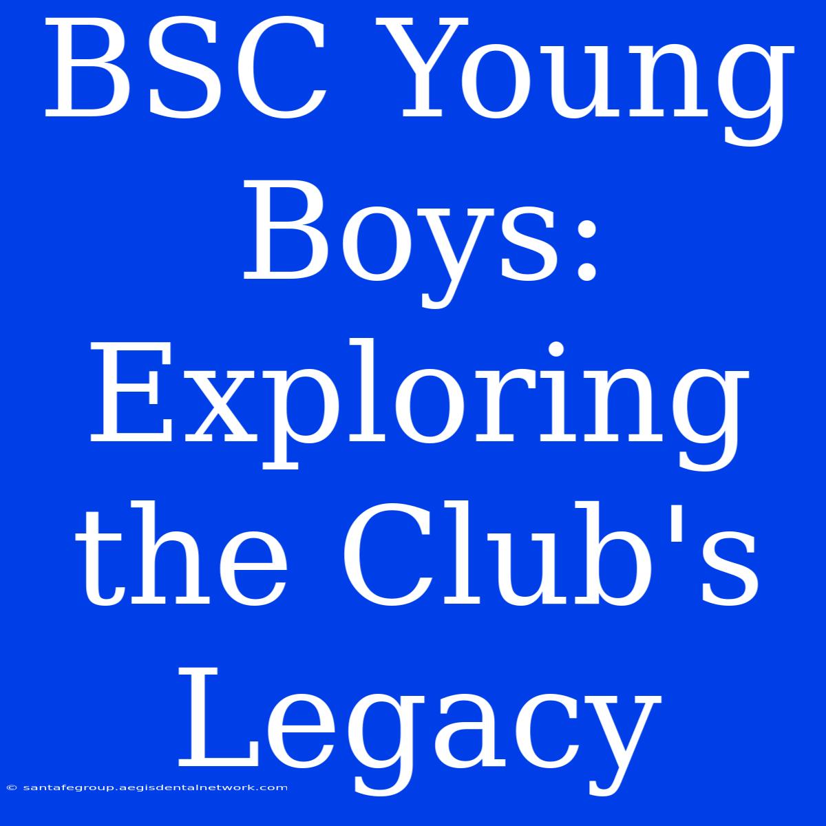 BSC Young Boys: Exploring The Club's Legacy