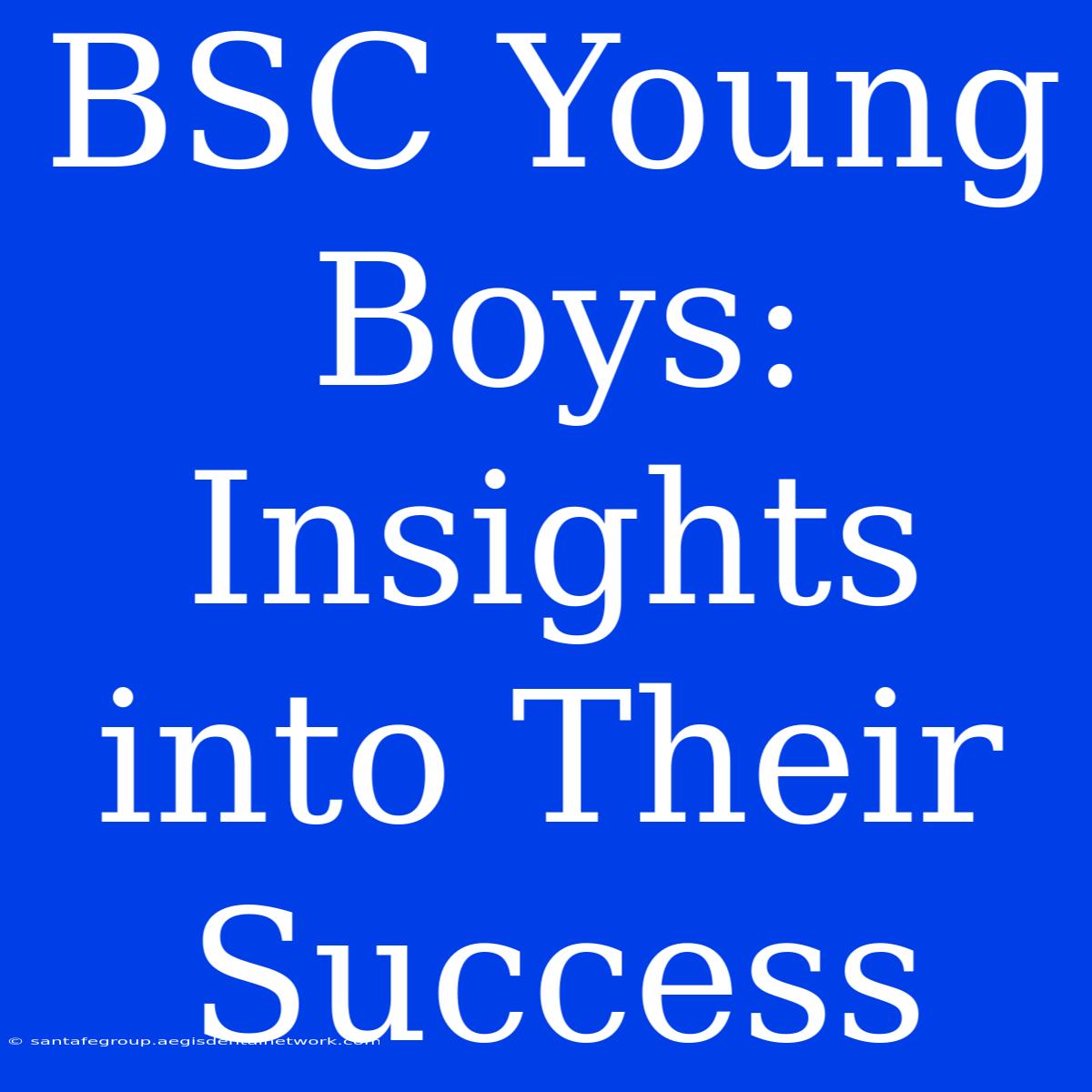 BSC Young Boys: Insights Into Their Success