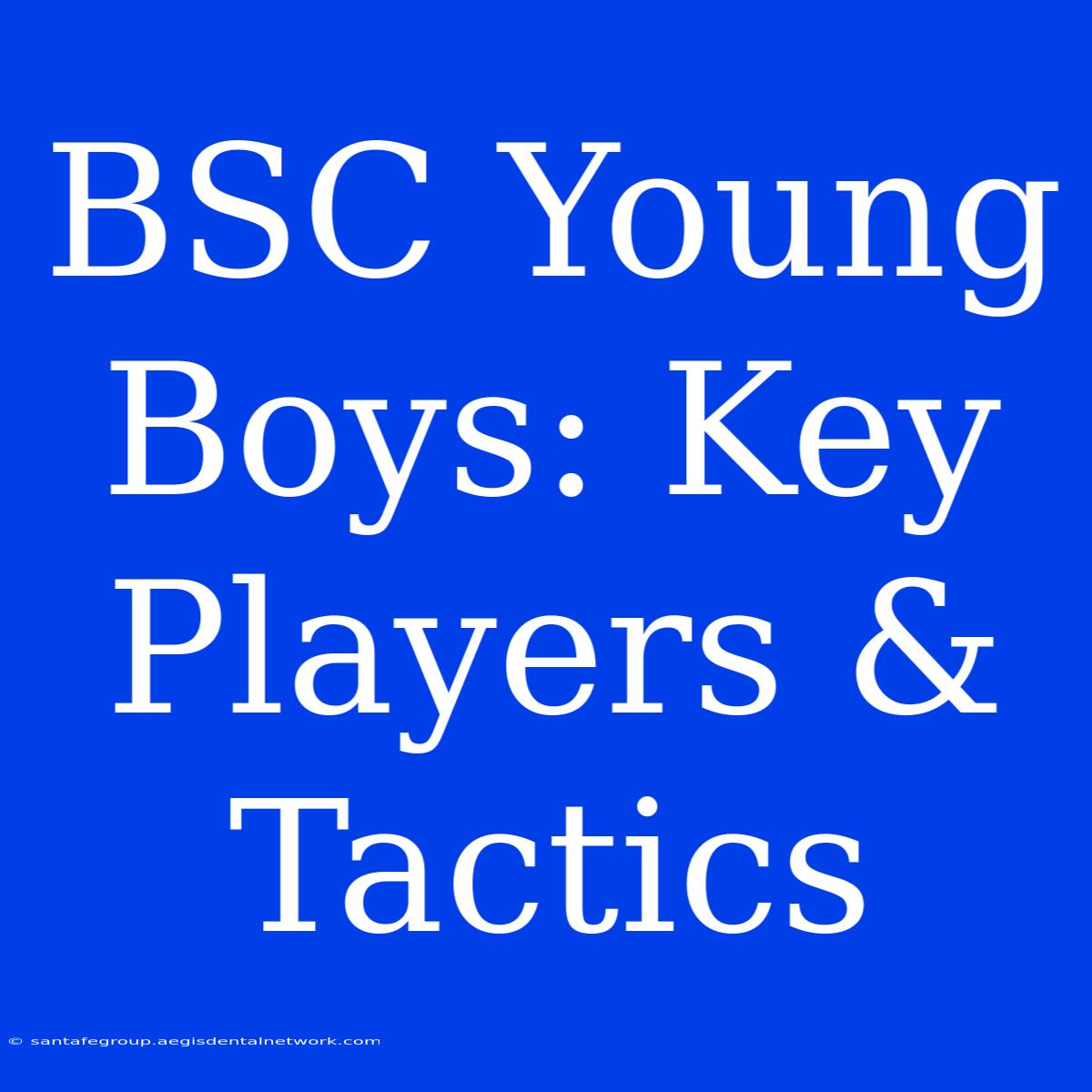 BSC Young Boys: Key Players & Tactics