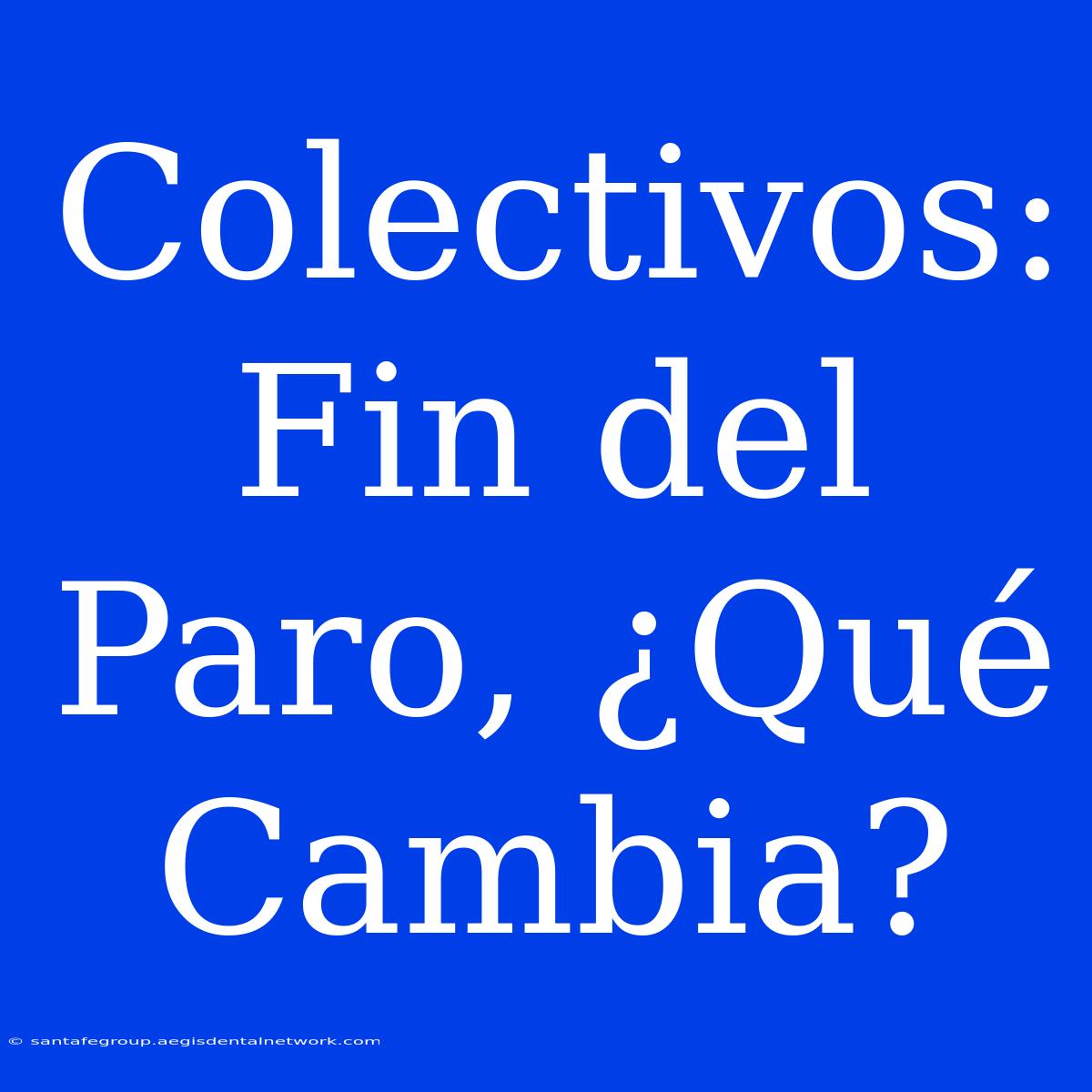 Colectivos: Fin Del Paro, ¿Qué Cambia?