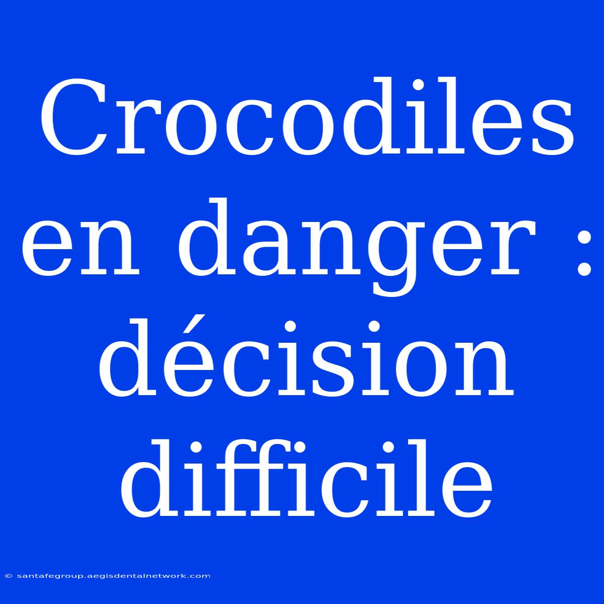 Crocodiles En Danger : Décision Difficile