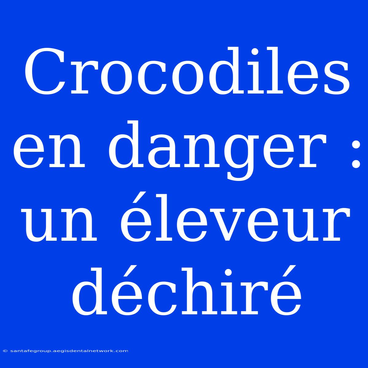 Crocodiles En Danger : Un Éleveur Déchiré