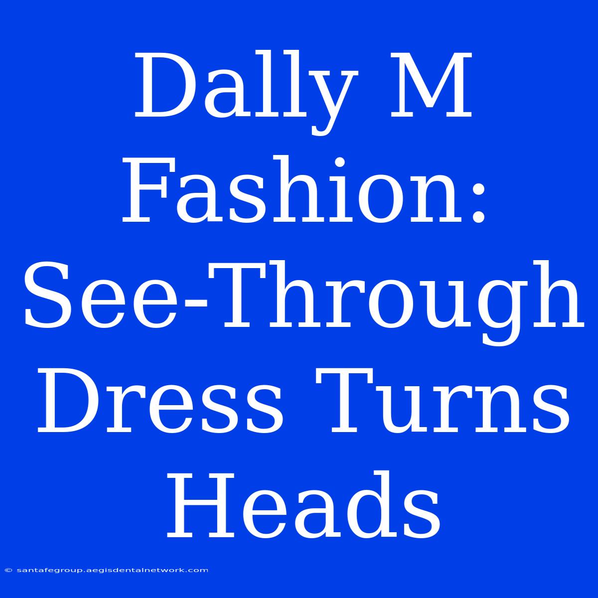 Dally M Fashion: See-Through Dress Turns Heads