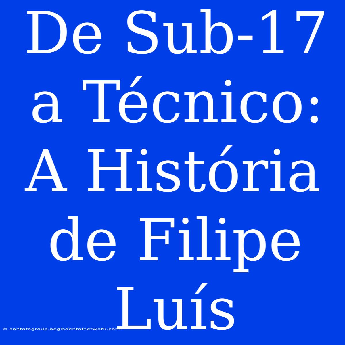 De Sub-17 A Técnico: A História De Filipe Luís