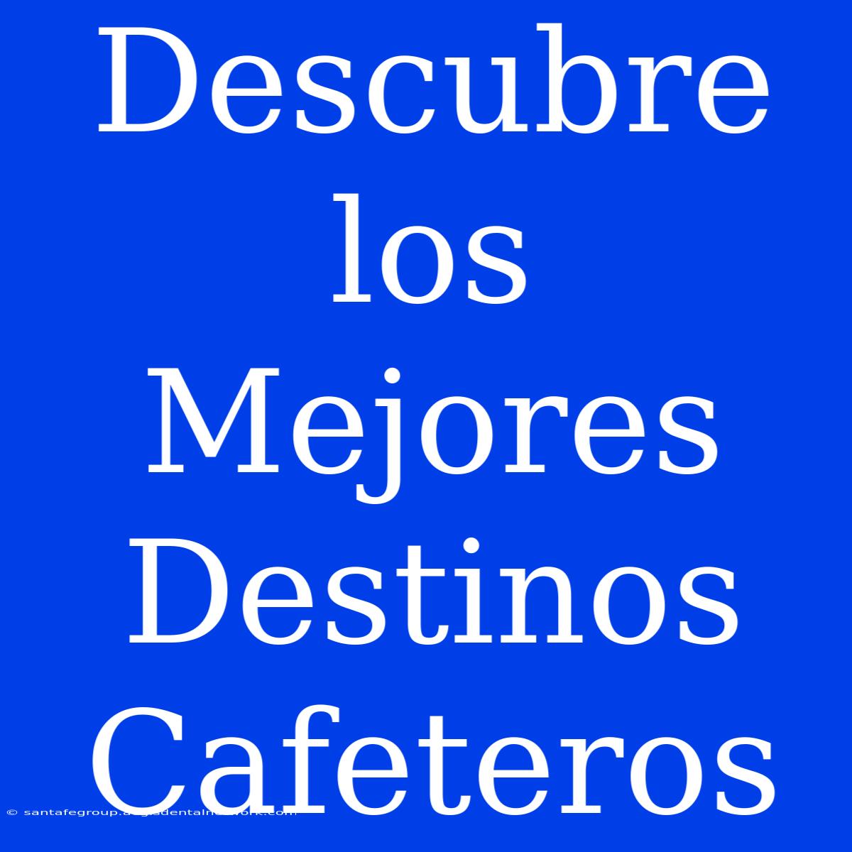 Descubre Los Mejores Destinos Cafeteros