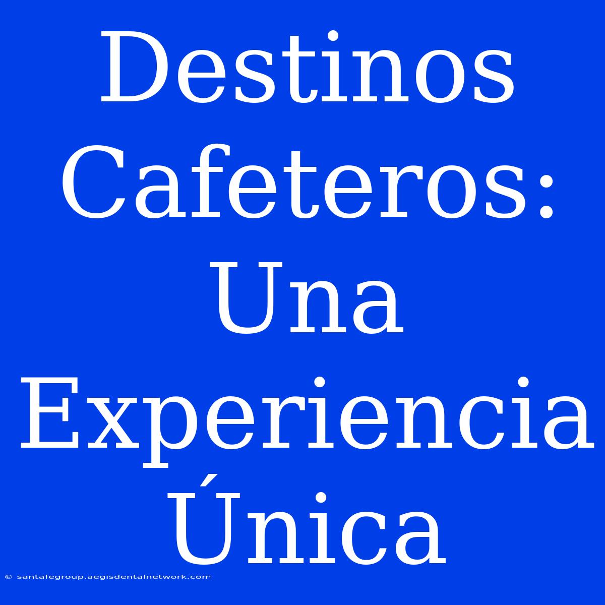 Destinos Cafeteros: Una Experiencia Única