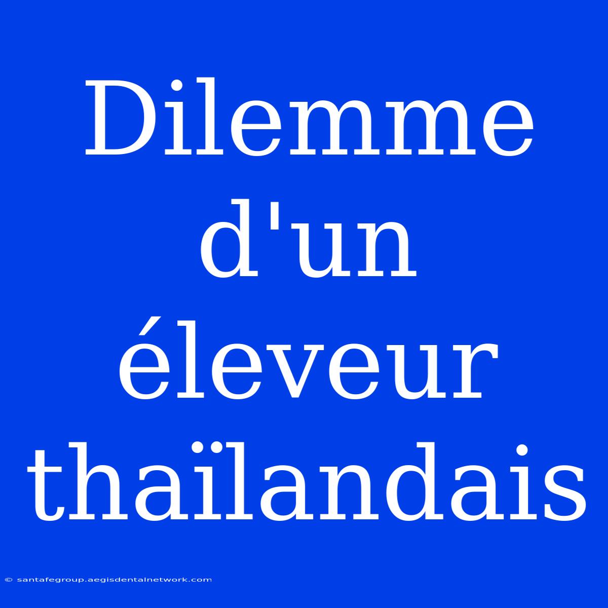 Dilemme D'un Éleveur Thaïlandais