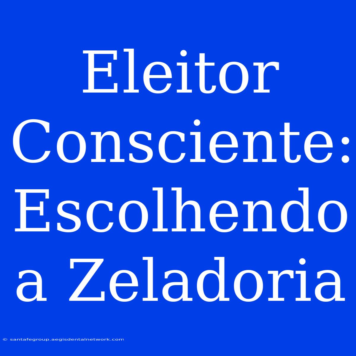 Eleitor Consciente: Escolhendo A Zeladoria 