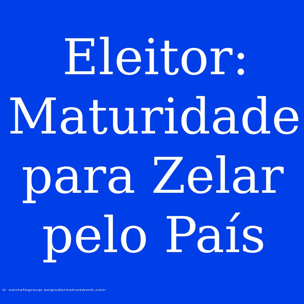 Eleitor: Maturidade Para Zelar Pelo País