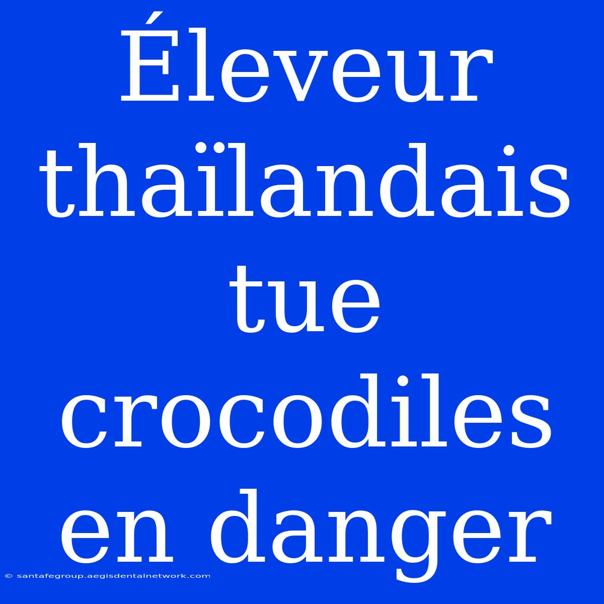 Éleveur Thaïlandais Tue Crocodiles En Danger