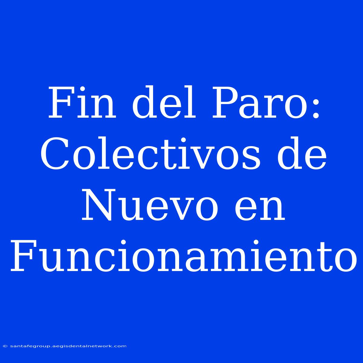 Fin Del Paro: Colectivos De Nuevo En Funcionamiento