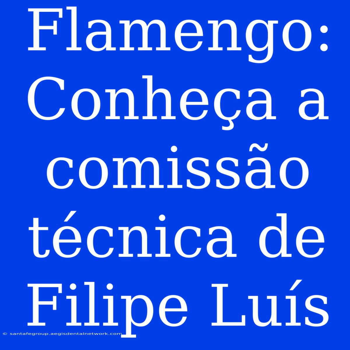 Flamengo: Conheça A Comissão Técnica De Filipe Luís