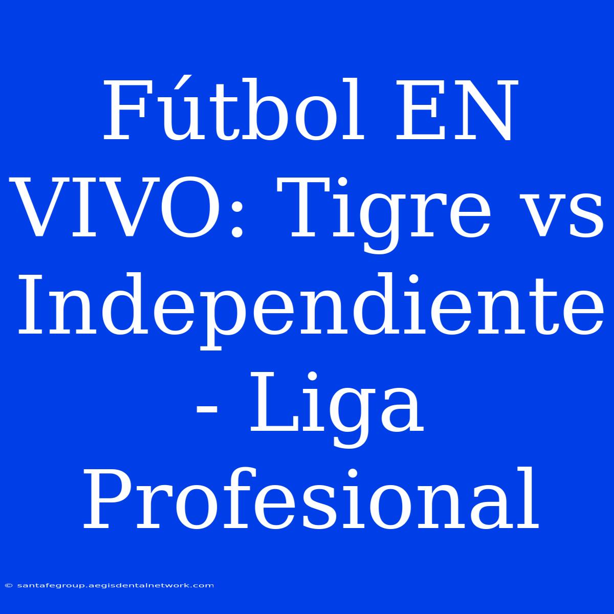 Fútbol EN VIVO: Tigre Vs Independiente - Liga Profesional