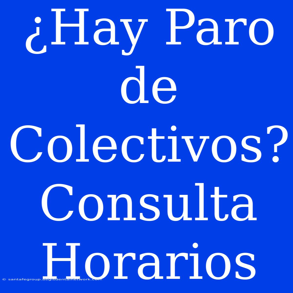 ¿Hay Paro De Colectivos? Consulta Horarios