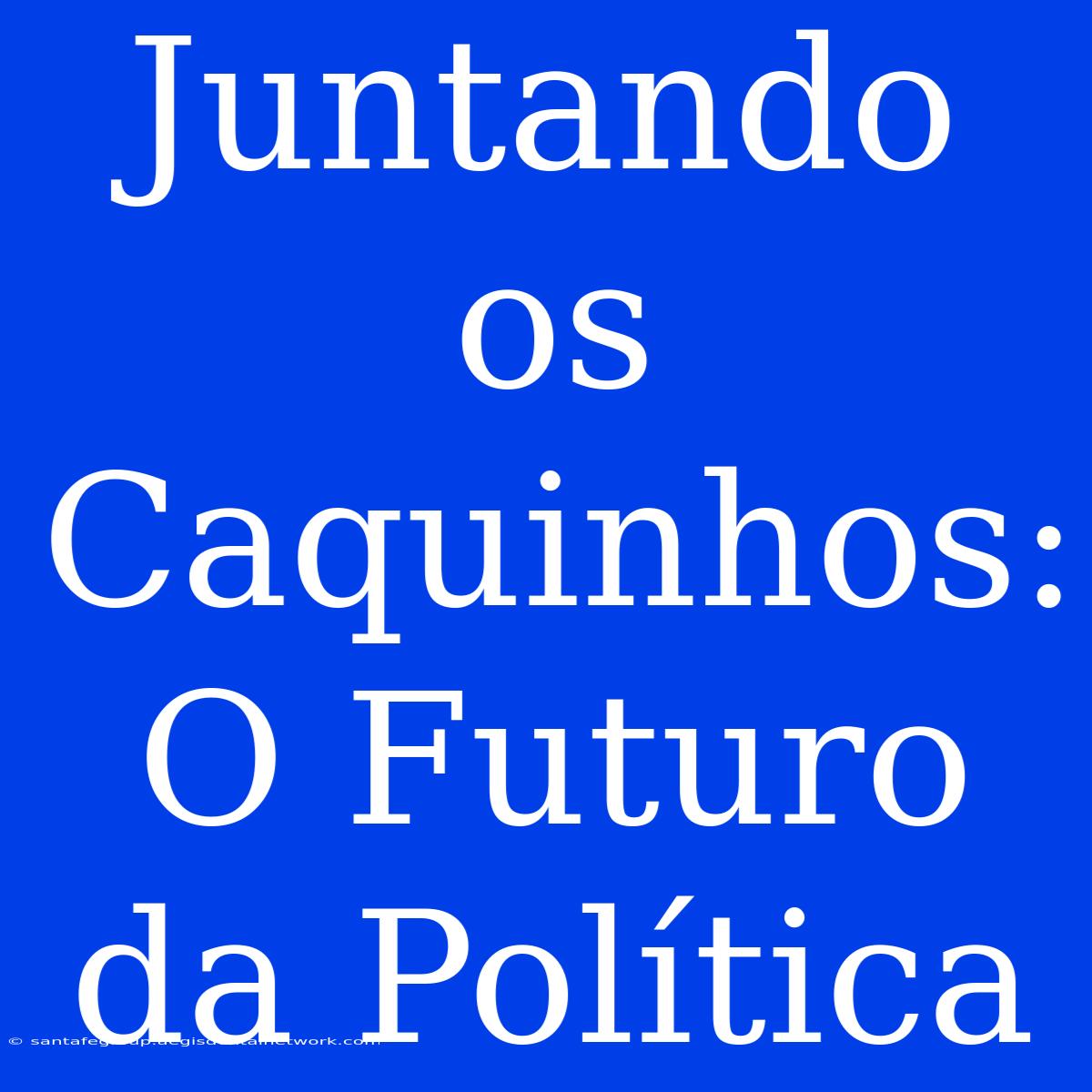 Juntando Os Caquinhos: O Futuro Da Política