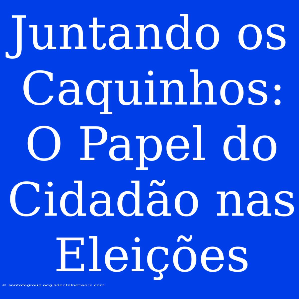 Juntando Os Caquinhos:  O Papel Do Cidadão Nas Eleições 