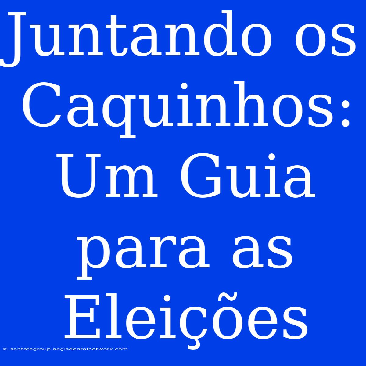 Juntando Os Caquinhos: Um Guia Para As Eleições