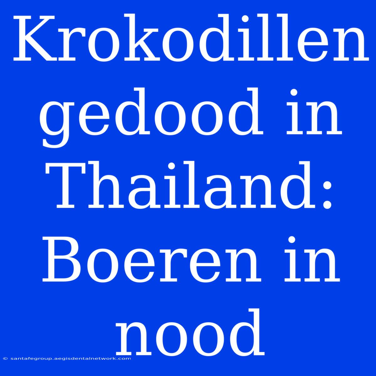 Krokodillen Gedood In Thailand: Boeren In Nood