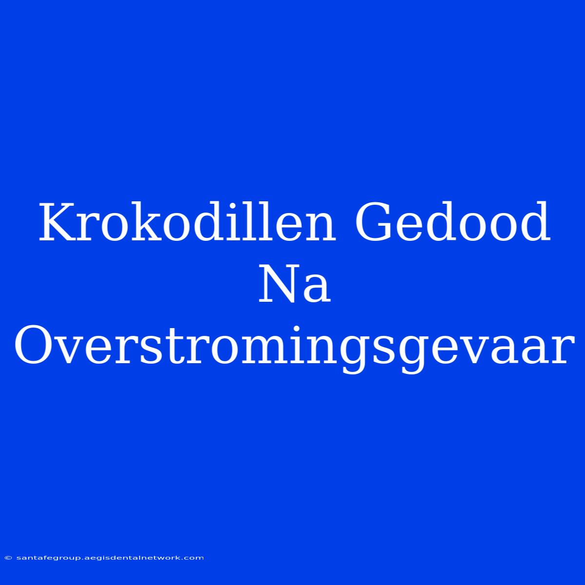 Krokodillen Gedood Na Overstromingsgevaar