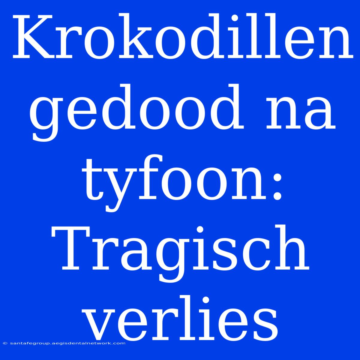 Krokodillen Gedood Na Tyfoon: Tragisch Verlies