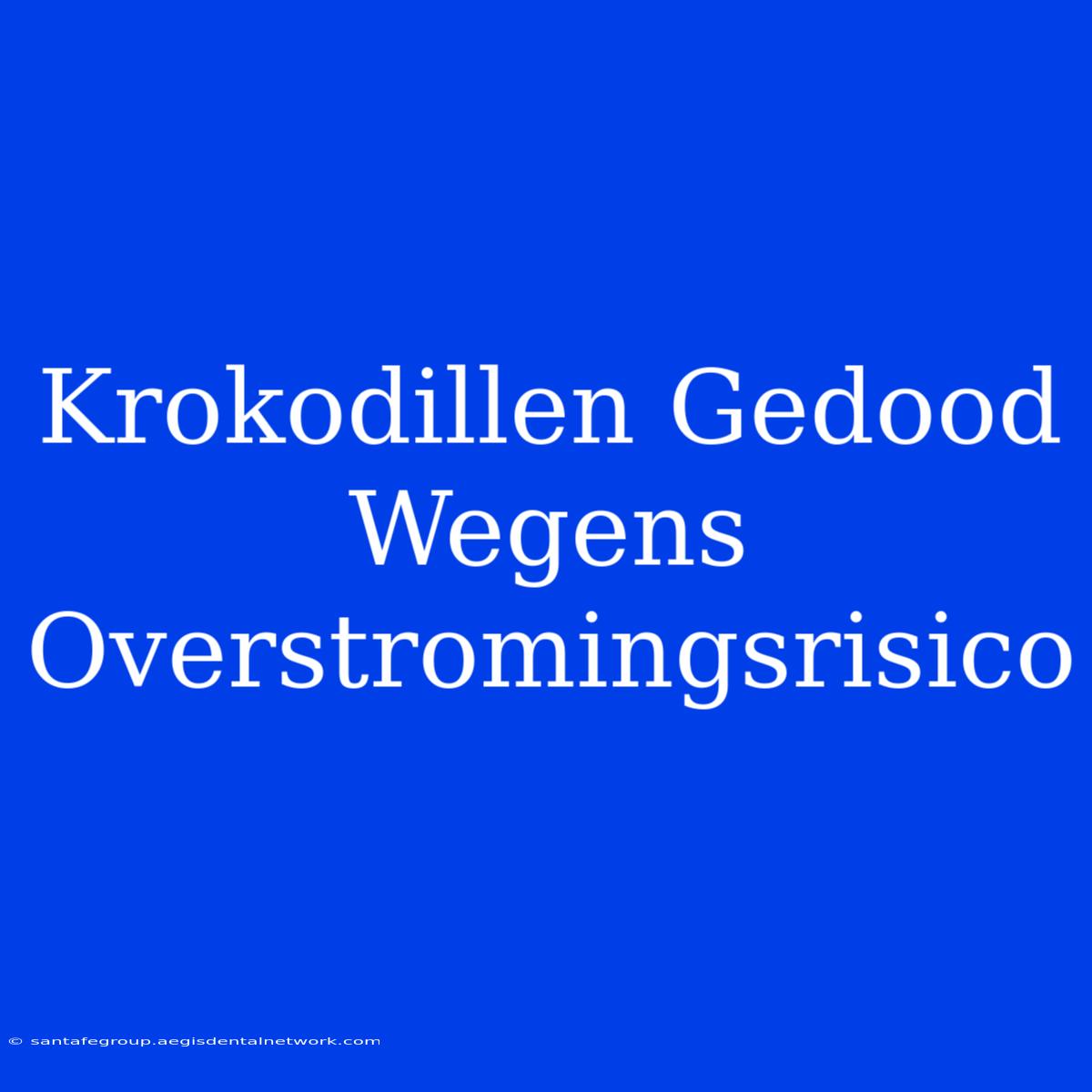 Krokodillen Gedood Wegens Overstromingsrisico