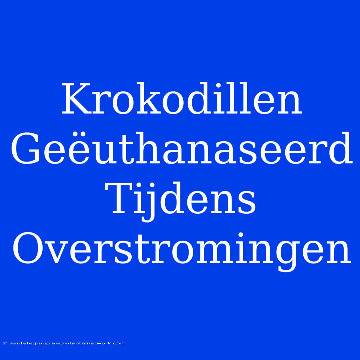 Krokodillen Geëuthanaseerd Tijdens Overstromingen