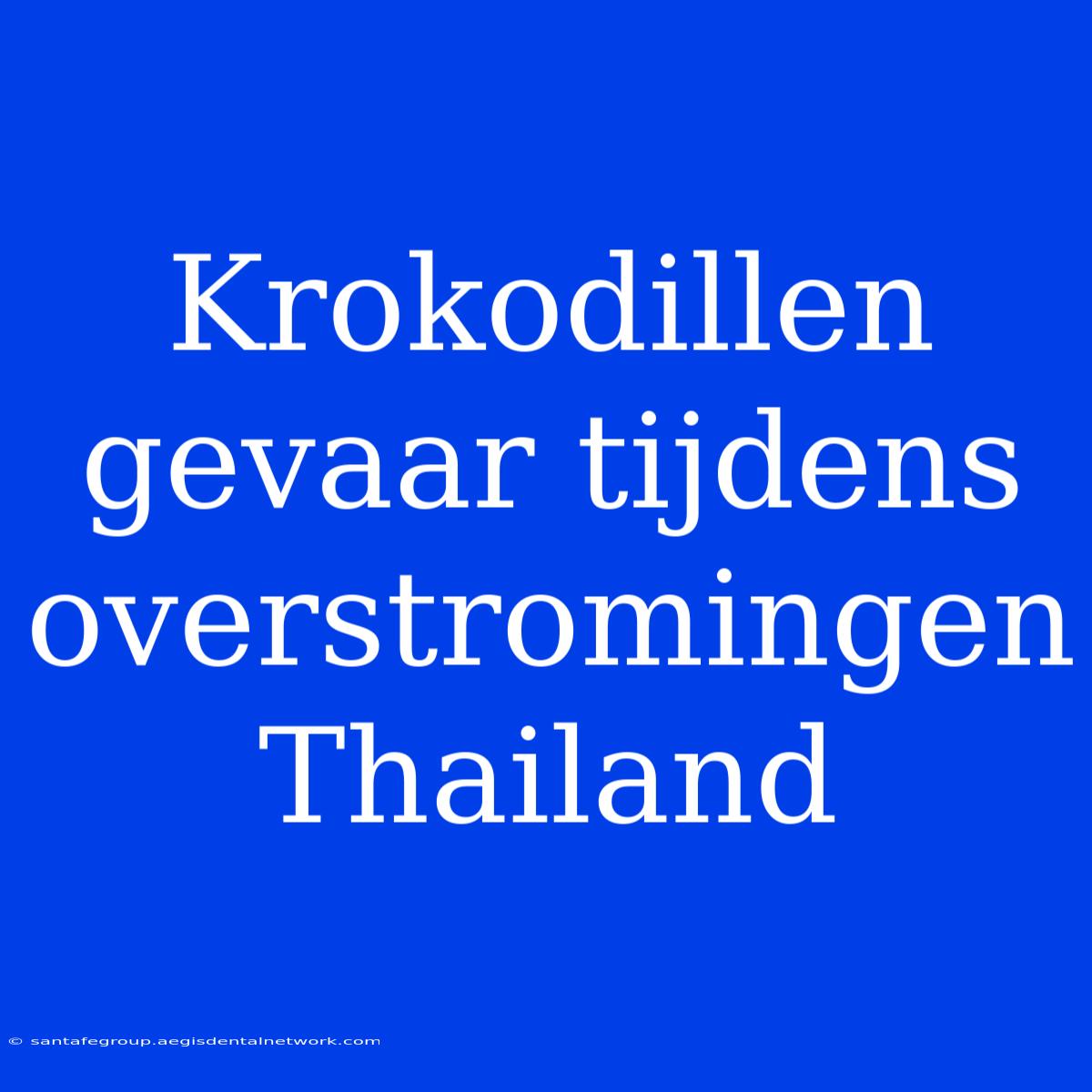 Krokodillen Gevaar Tijdens Overstromingen Thailand