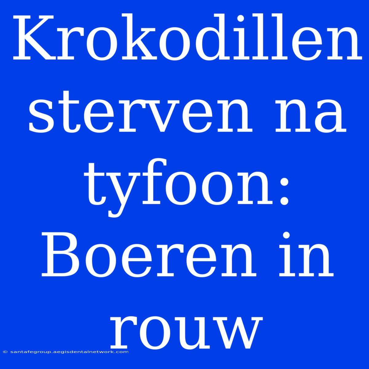 Krokodillen Sterven Na Tyfoon: Boeren In Rouw