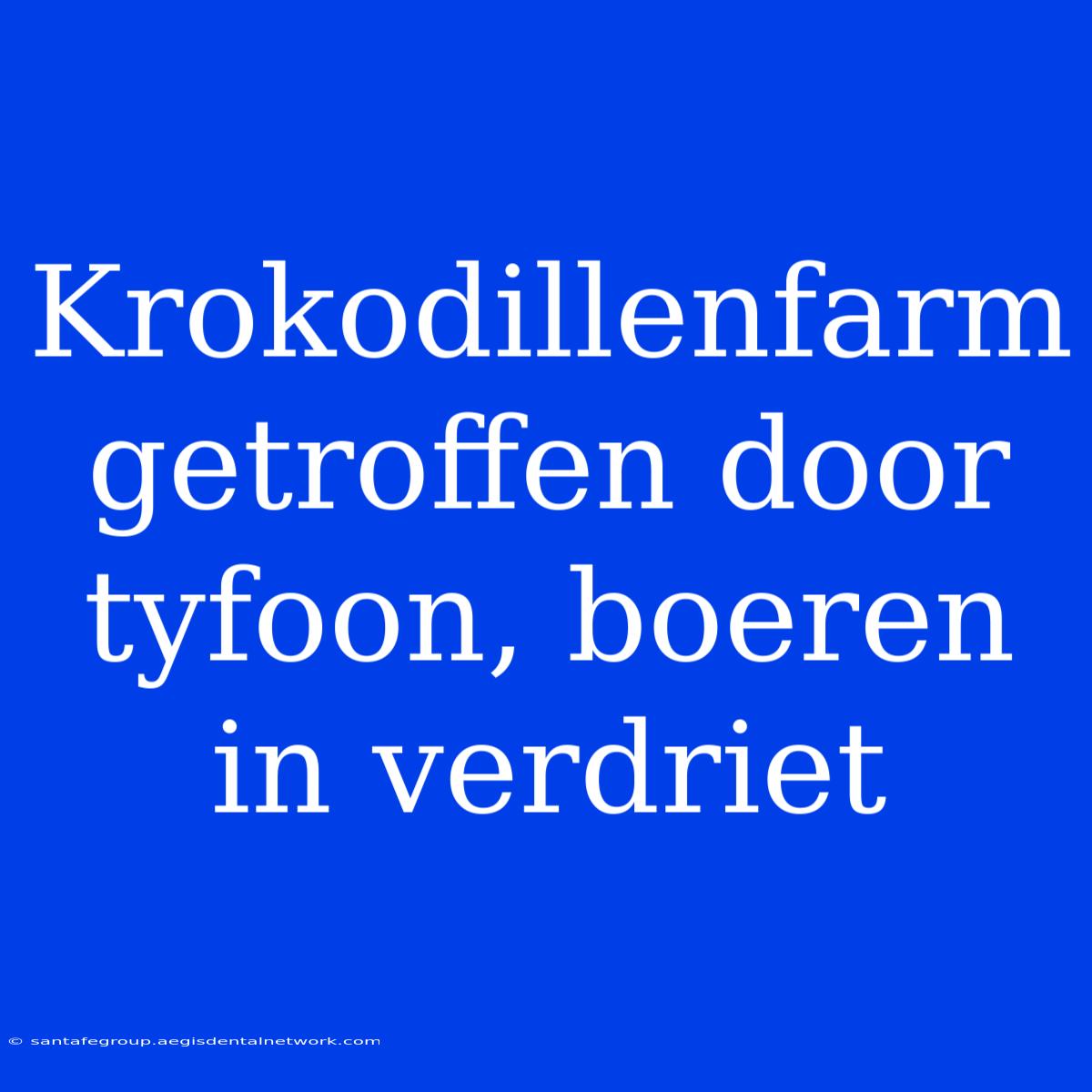 Krokodillenfarm Getroffen Door Tyfoon, Boeren In Verdriet