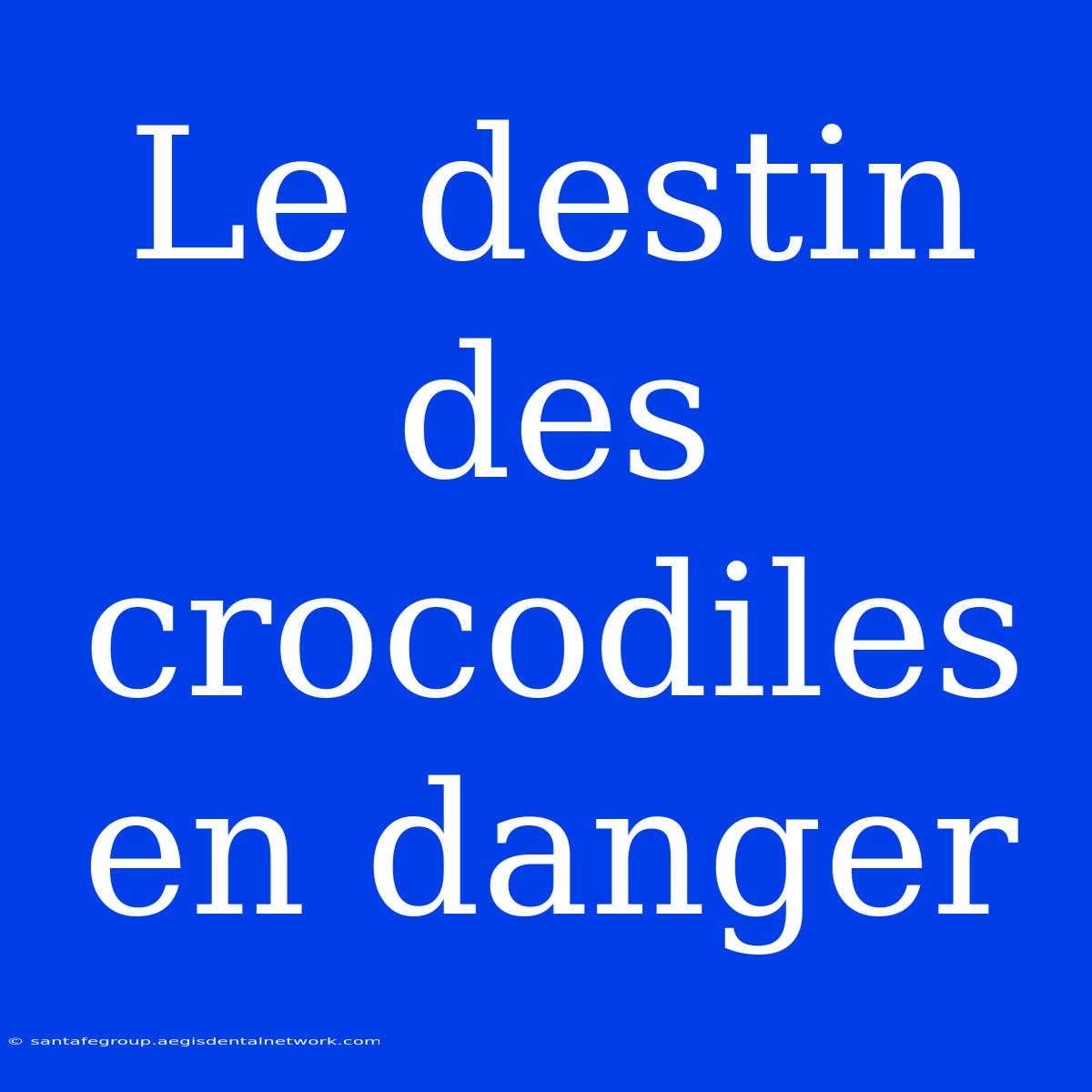 Le Destin Des Crocodiles En Danger