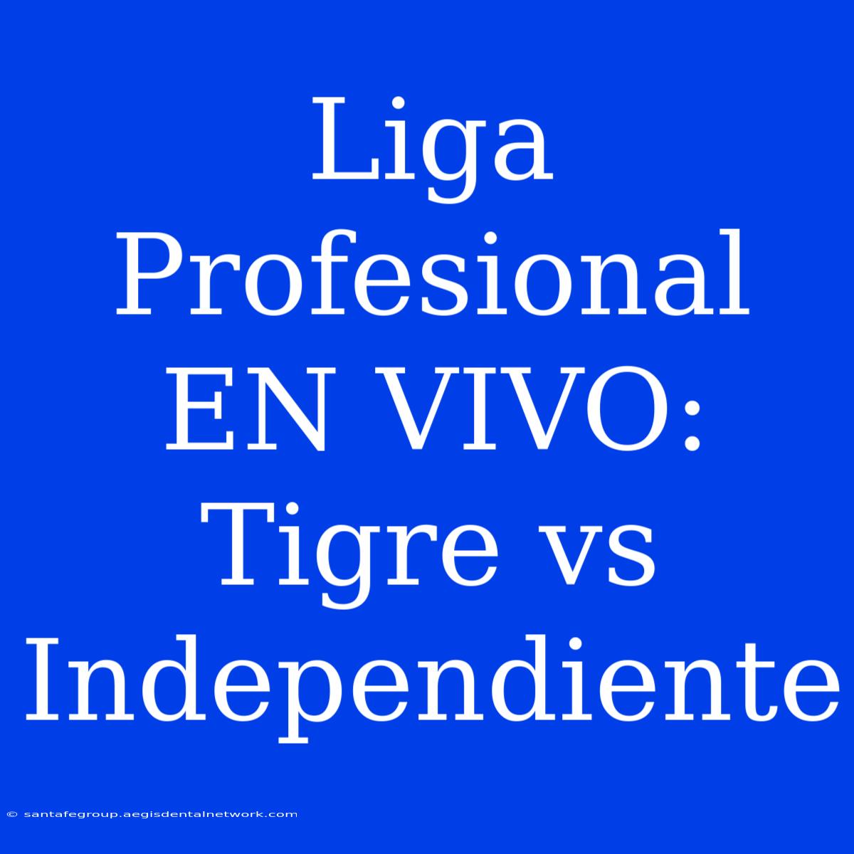 Liga Profesional EN VIVO: Tigre Vs Independiente