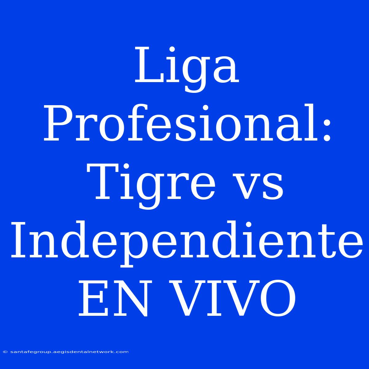 Liga Profesional: Tigre Vs Independiente EN VIVO