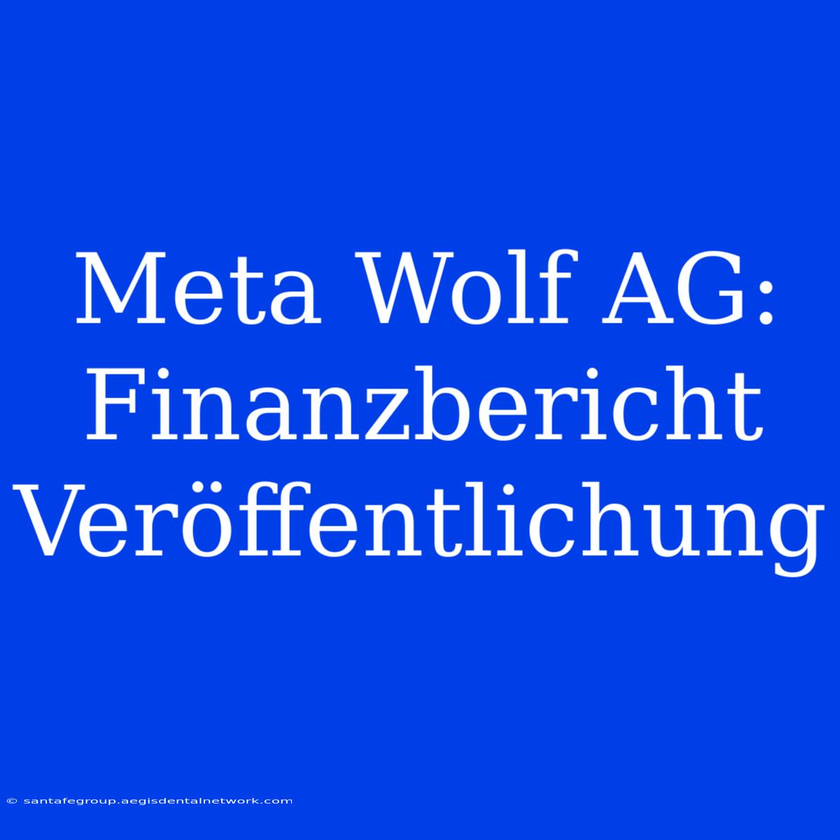 Meta Wolf AG: Finanzbericht Veröffentlichung