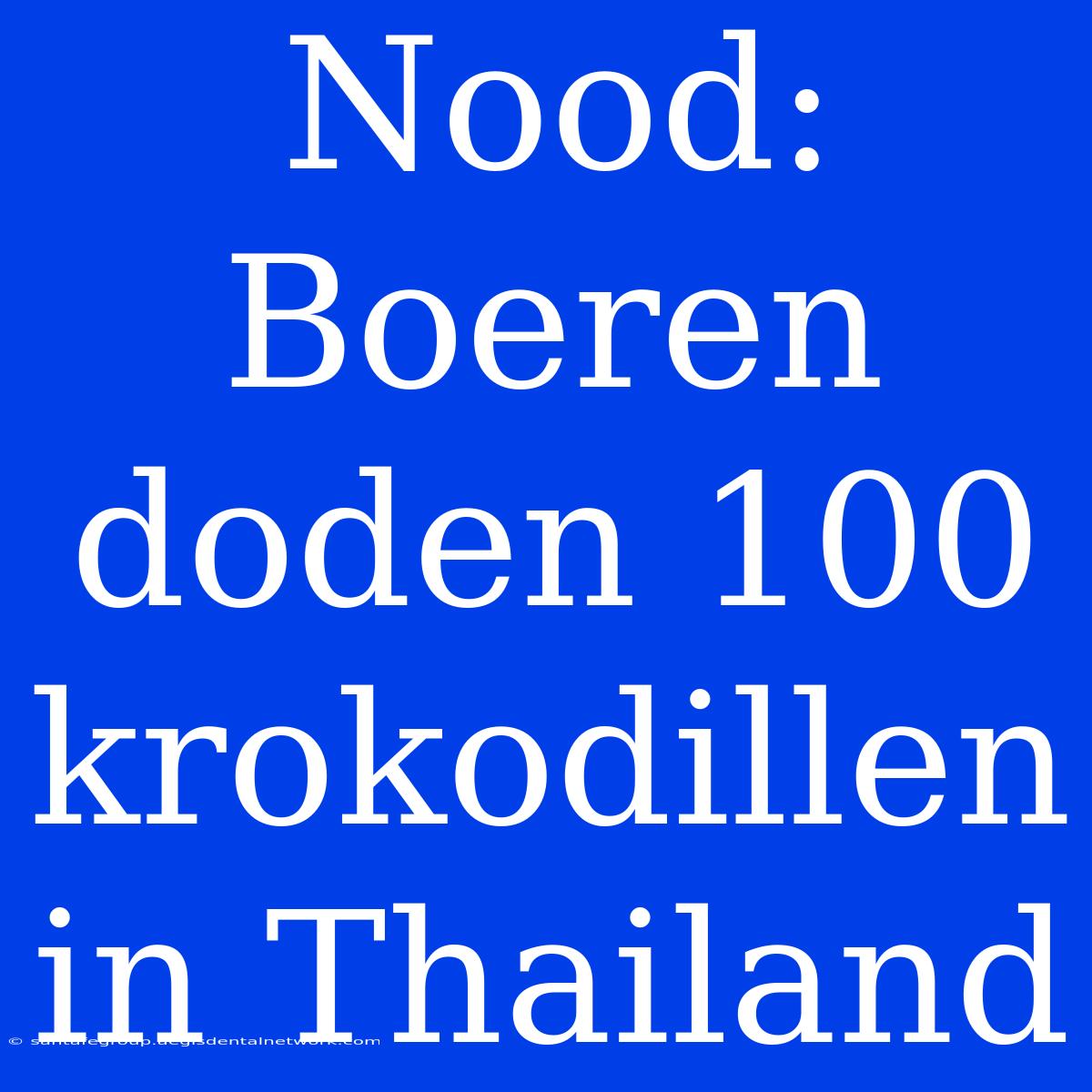 Nood: Boeren Doden 100 Krokodillen In Thailand 