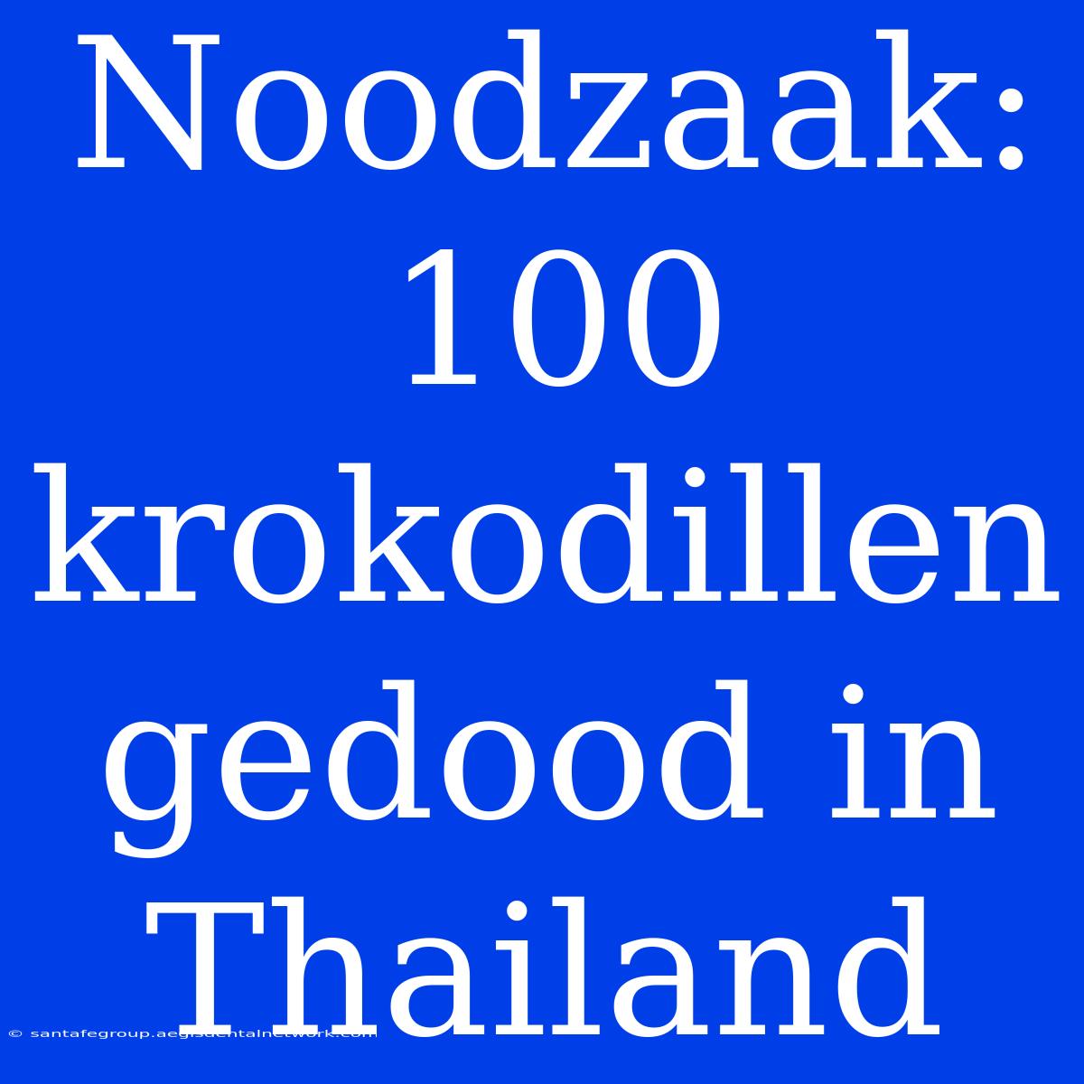 Noodzaak: 100 Krokodillen Gedood In Thailand