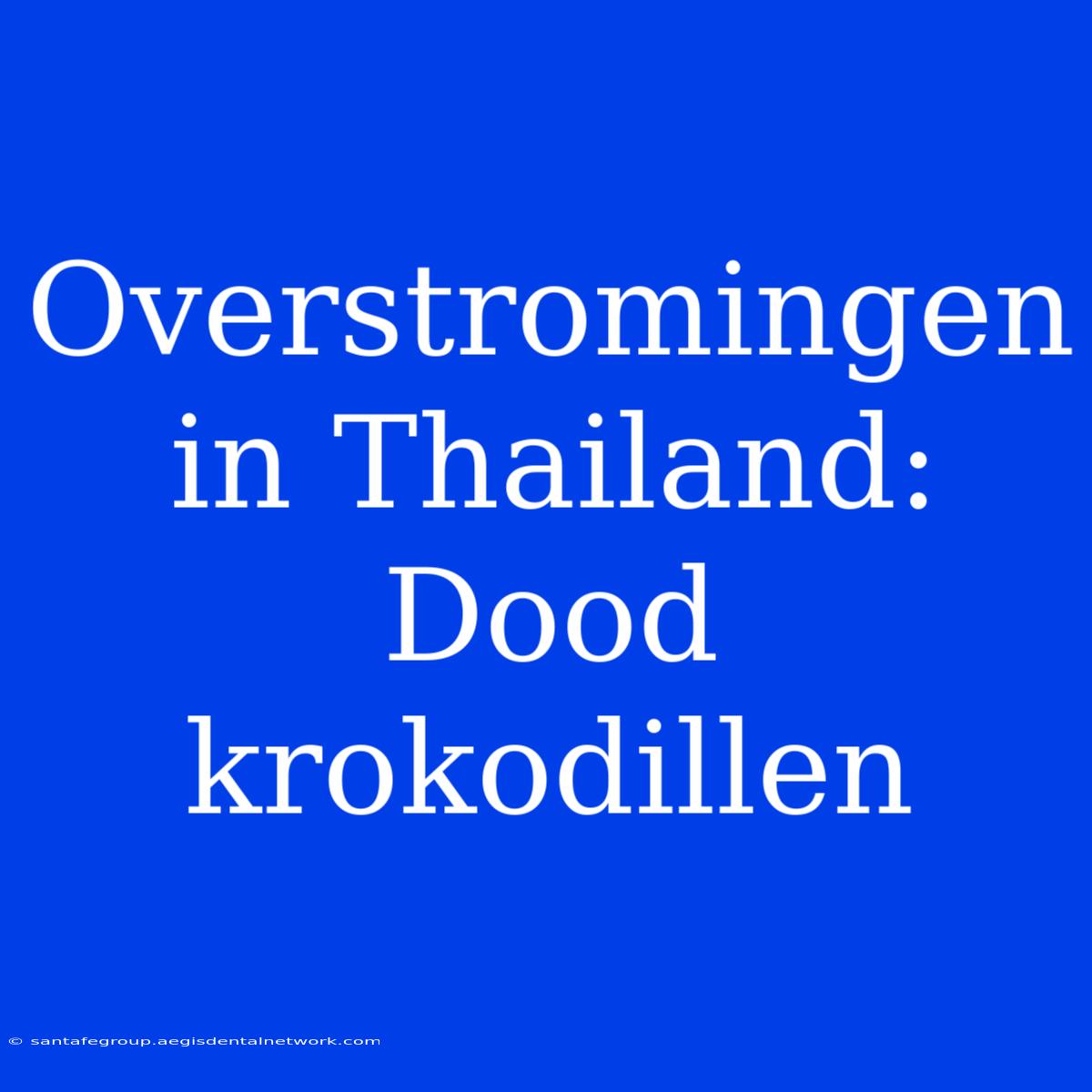 Overstromingen In Thailand: Dood Krokodillen