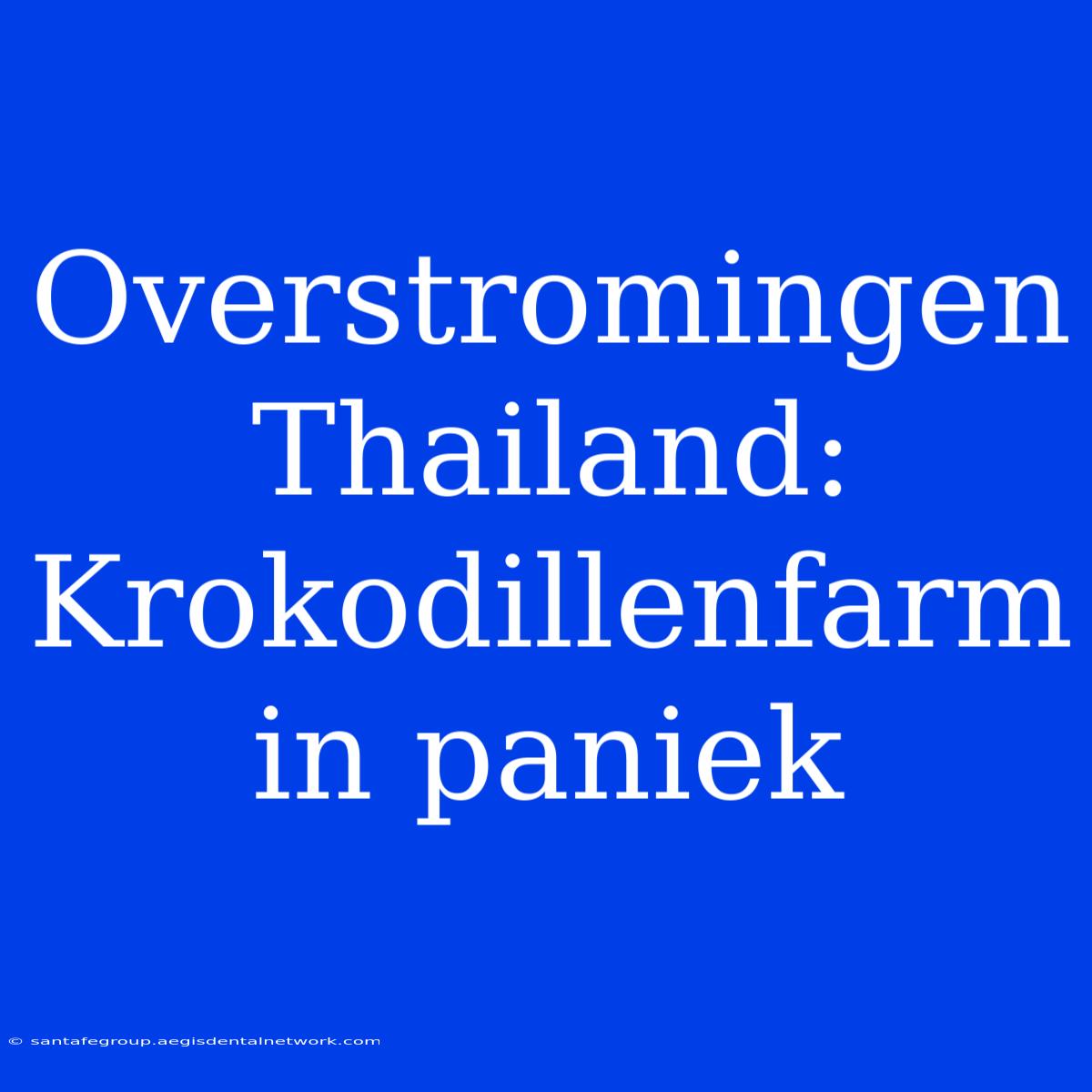 Overstromingen Thailand: Krokodillenfarm In Paniek