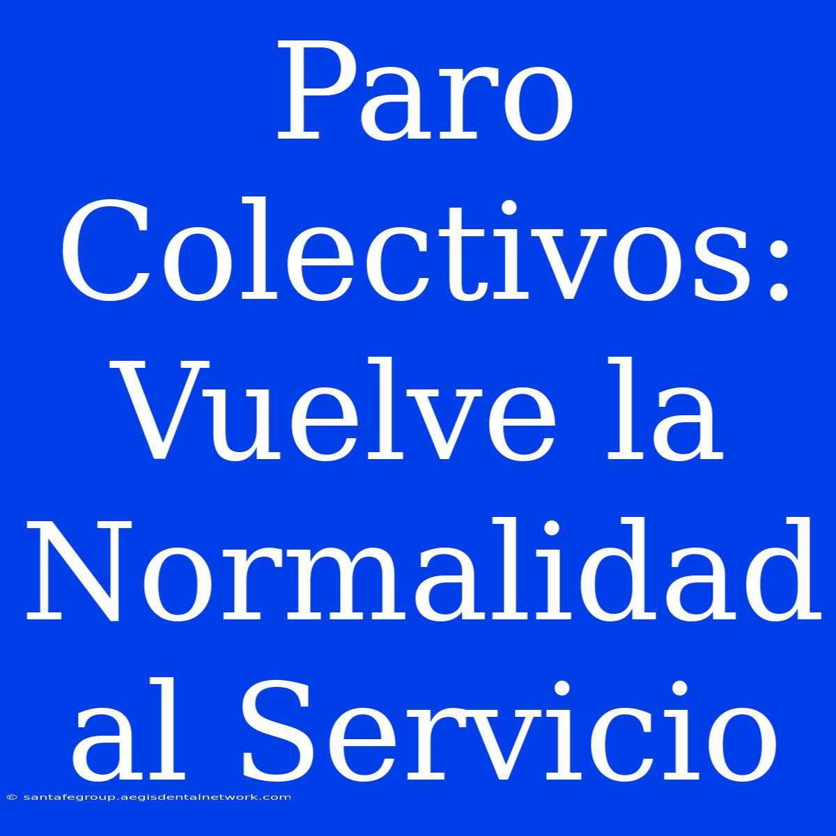 Paro Colectivos: Vuelve La Normalidad Al Servicio