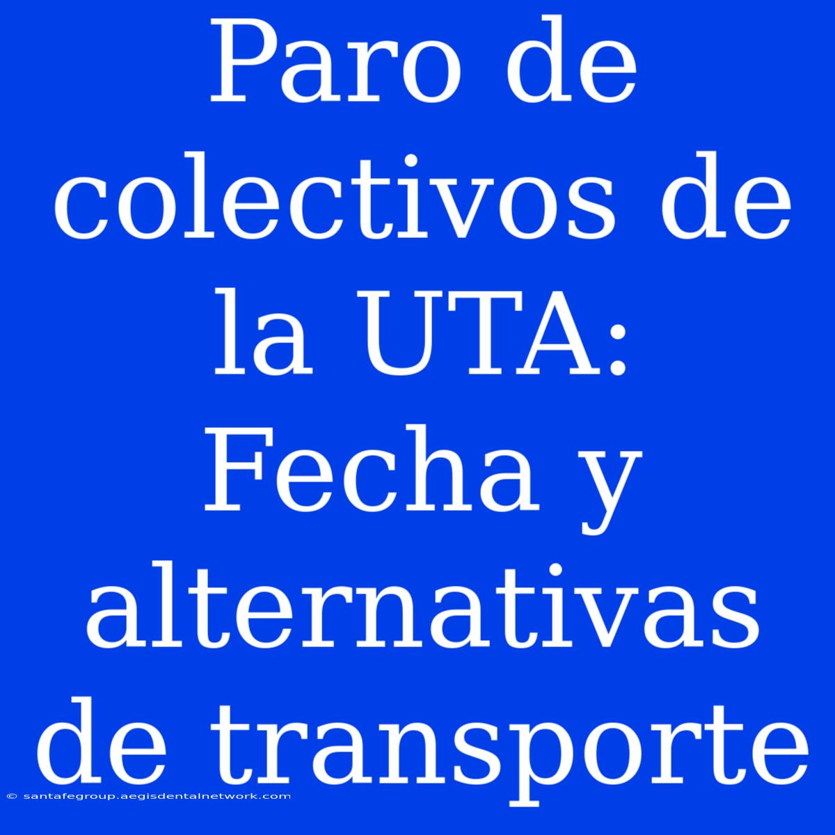 Paro De Colectivos De La UTA: Fecha Y Alternativas De Transporte