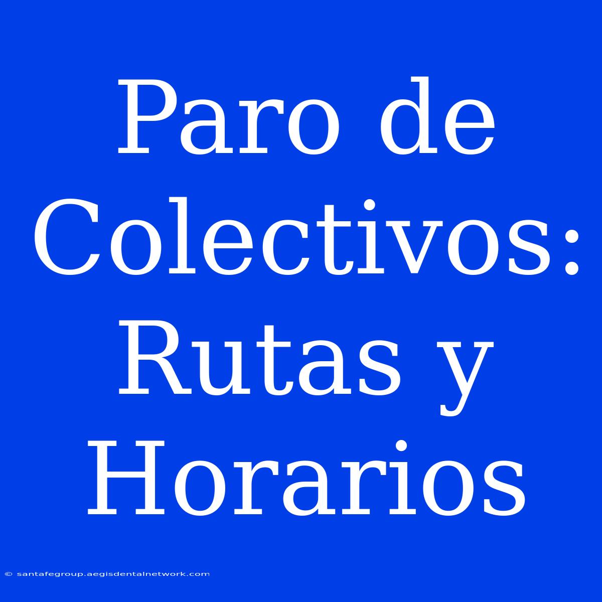 Paro De Colectivos: Rutas Y Horarios