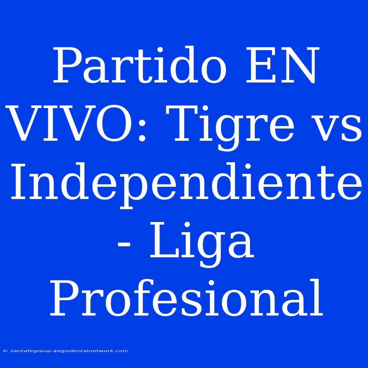 Partido EN VIVO: Tigre Vs Independiente - Liga Profesional